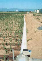 Irrigazione - L'Informatore Agrario