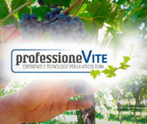 Professione_Vite