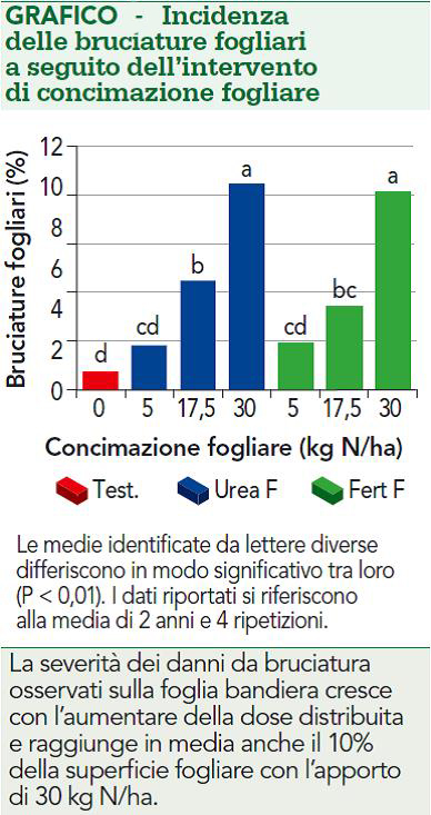 GR bruciature azoto fogliare - 4 ottobre 2018