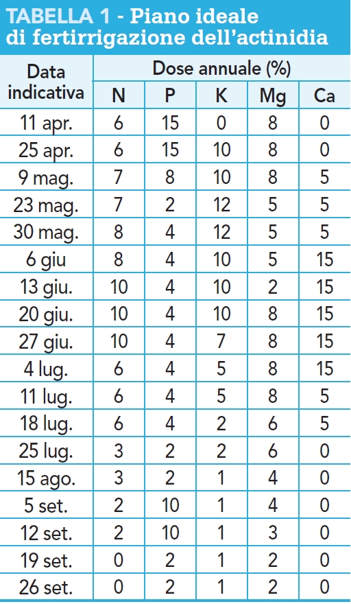 Piano ideale fertirrigazione actinidia