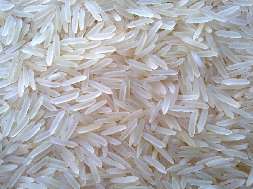 Riso Indica
