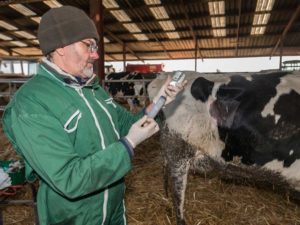 antibiotici per uso veterinario