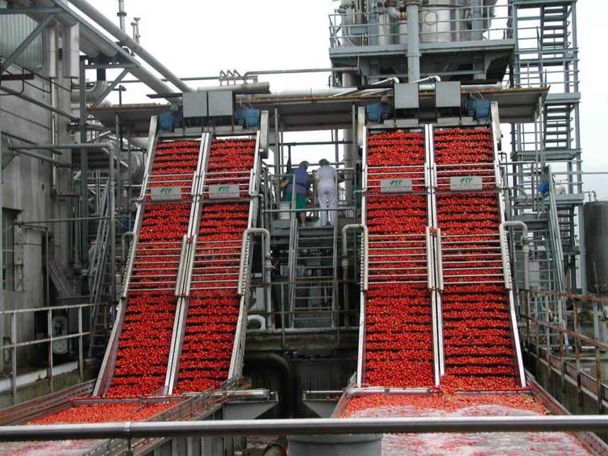 Lavorazione del pomodoro da industria