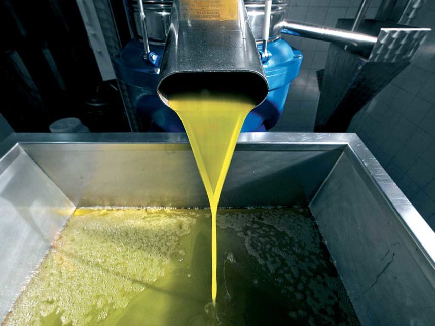 Olio in uscita dal frantoio