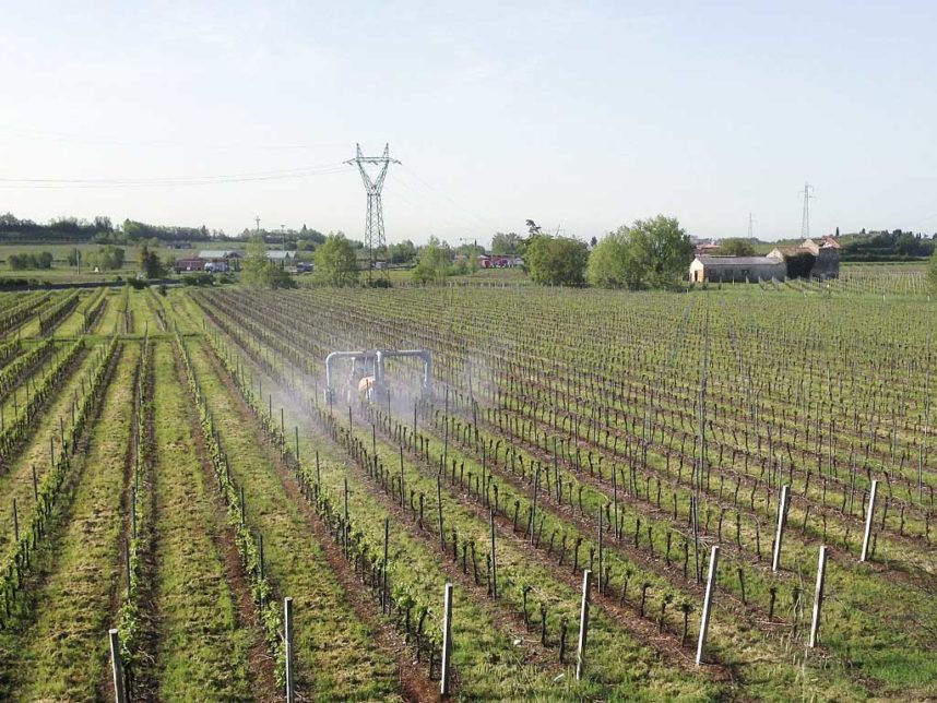 Trattamenti in vigneto
