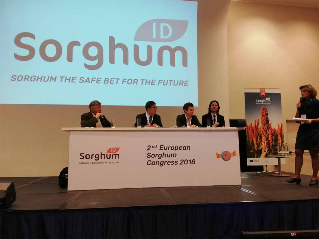 Congresso europeo sul sorgo 2018