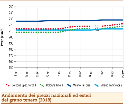 Grano_Tenero_19_novembre_2018