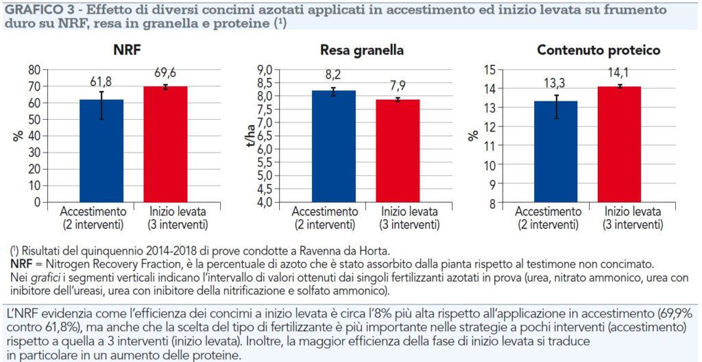 Effetto di diversi concimi azotati applicati in accestimento ed inizio levata su frumento duro