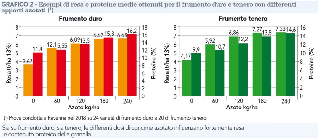 Esempi di resa e proteine medie ottenuti per il frumento duro e tenero con differenti apporti azotati