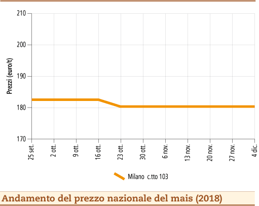 Mais_10_dicembre_2018