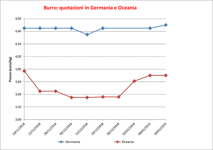 Burro_estero_24_gennaio_2019