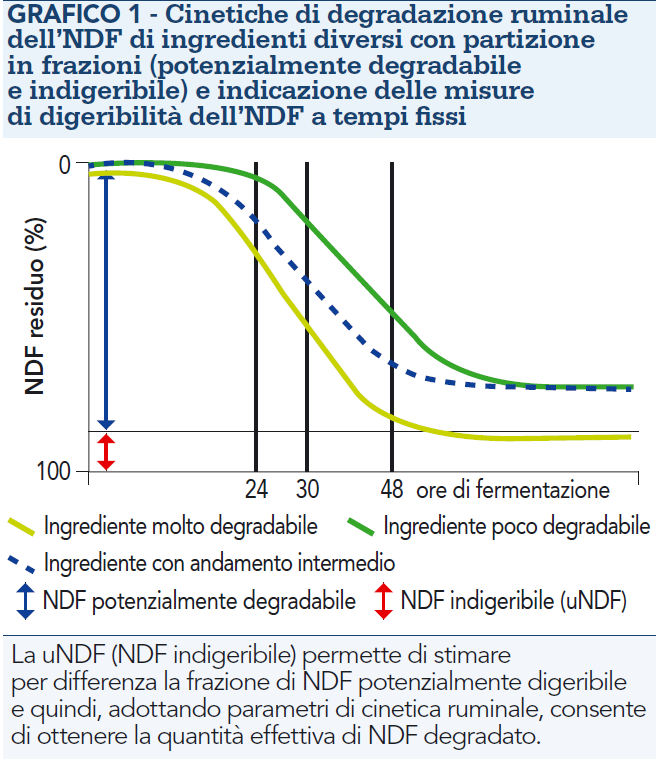 Cinetiche degradazione NDF