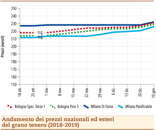 Grano_tenero_14_gennaio_2019