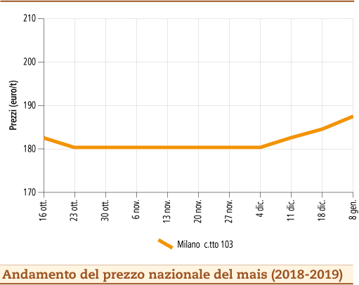 Mais_14_gennaio_2019