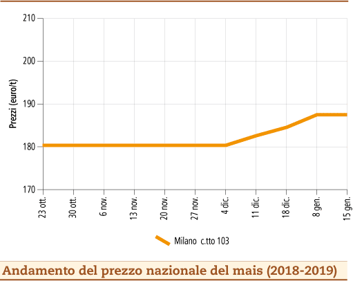 Mais_21_gennaio_2019