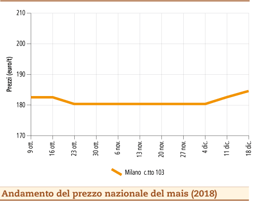 Mais_7_gennaio_2019