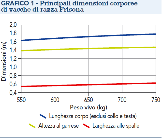 dimensione stalla e peso vacca