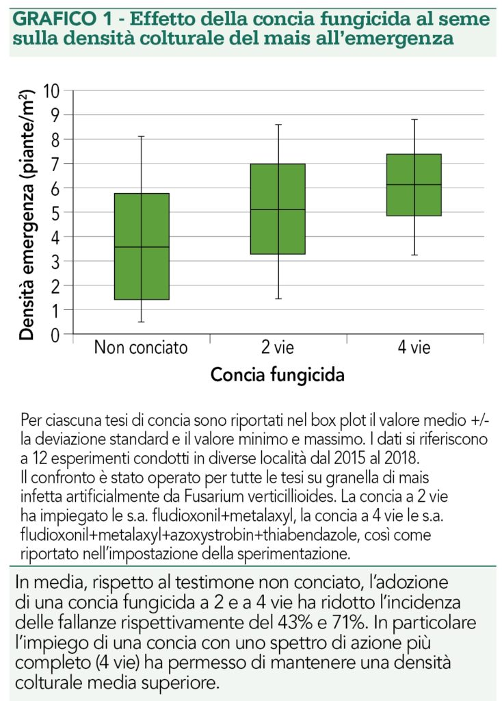 Effetto concia fungicida su emergenza mais