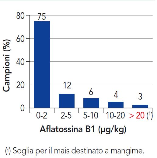 Distribuzione del contenuto di aflatossina B1 in campioni di mais (2018)