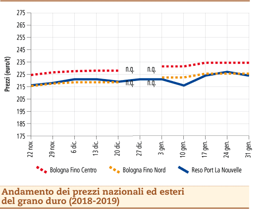 Grano_duro_4_febbraio_2019