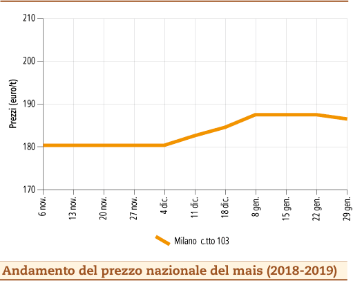 Mais_4_febbraio_2019