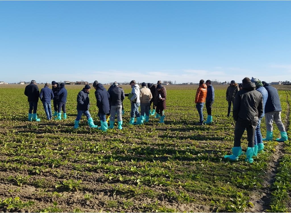 I visitatori in campo durante EnergyBeet 2019 ad Eraclea (Venezia)