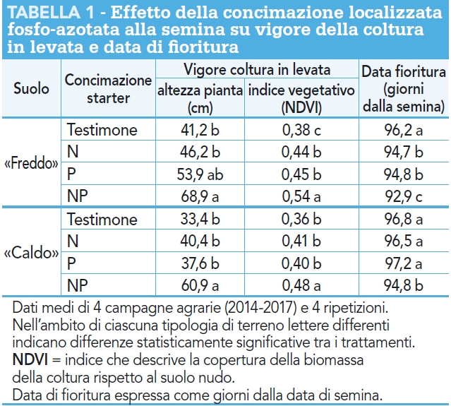 Effetto concimazione NP su vigore e fioritura mais