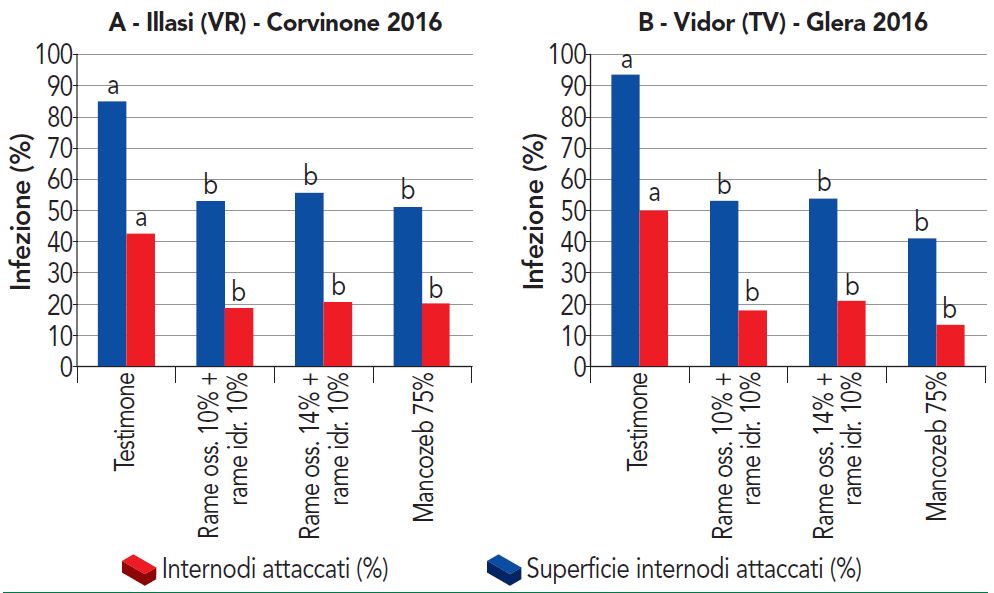 Prove contro escoriosi della vite Veneto 2015 2016