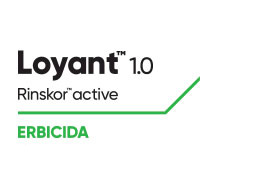 Loyant 1.0