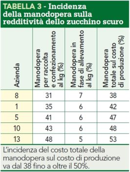 ncidenza manodopera zucchino