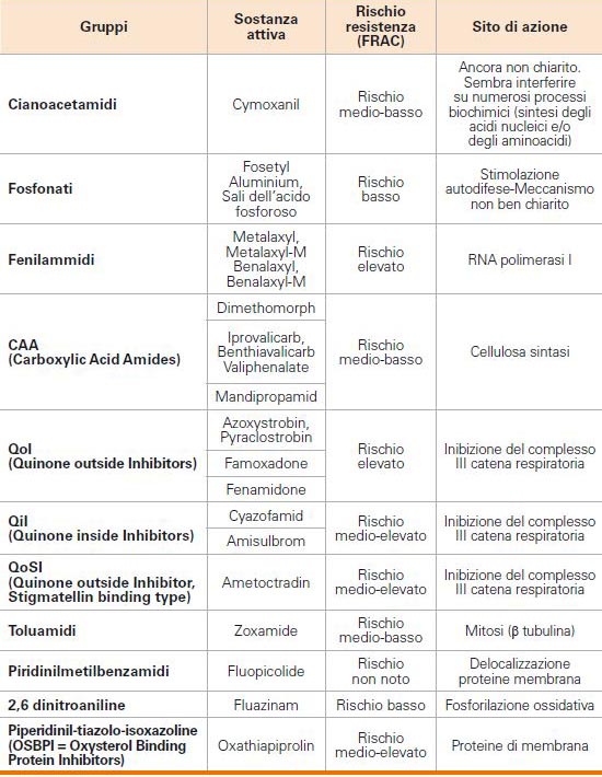 Rischio resistenza antiperonosporici della vite