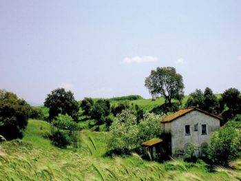 casa fatiscente