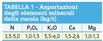 Asportazione elementi minerali rucola