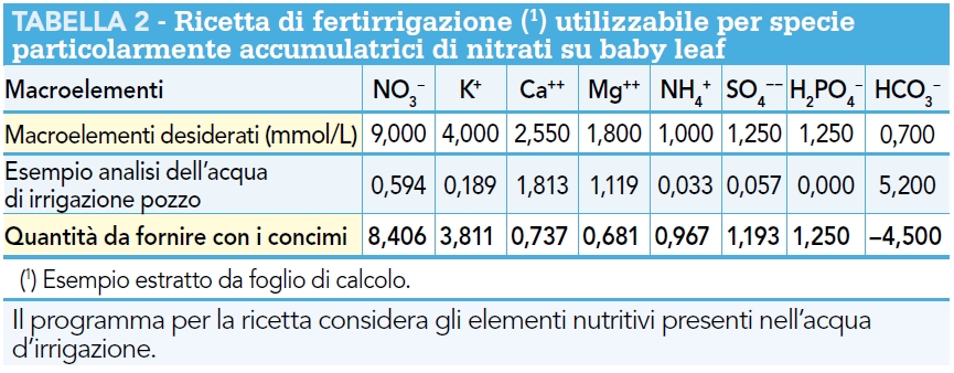 Ricetta fertirrigazione baby leaf