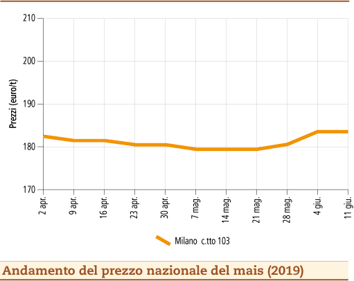 prezzi mais 17 giugno 2019