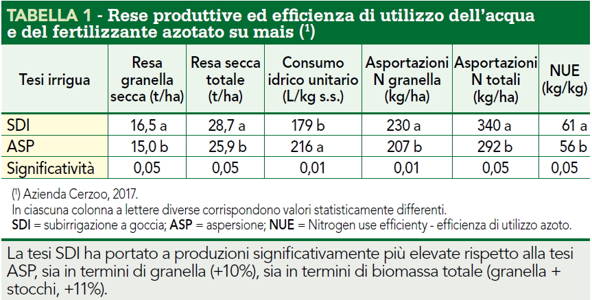 Rese produttive ed efficienza acqua SDI mais