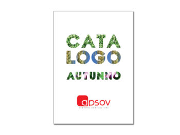 Apsov catalogo autunno 2019