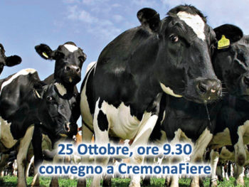 Convegno Cremona 2019