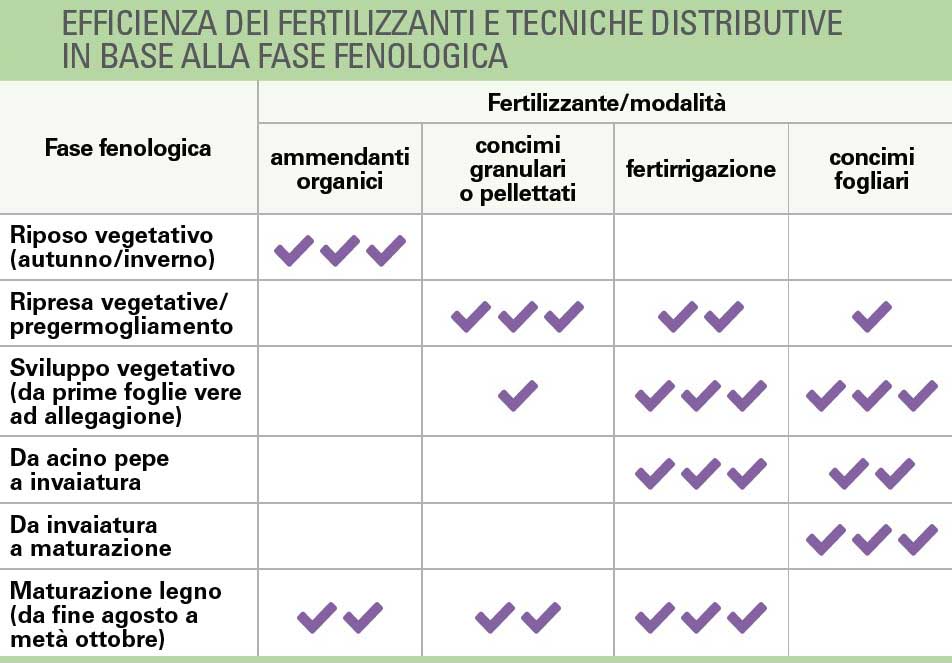 Tabella Efficienza dei fertilizzanti in vigneto