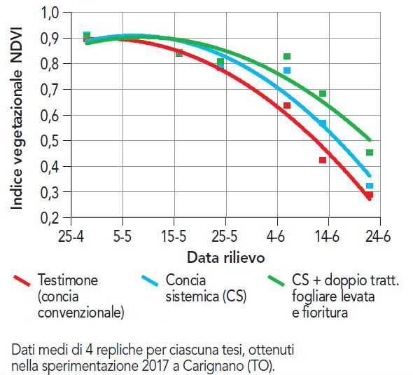 Frumento effetto concia sistemica e difesa fungicida su evoluzione indice NDVI