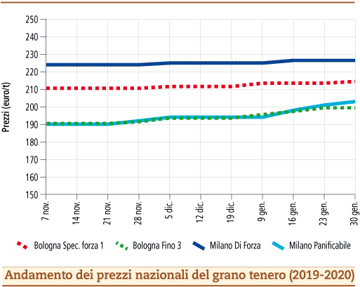 prezzi_grano_tenero_febbraio_2020_lunedì_3