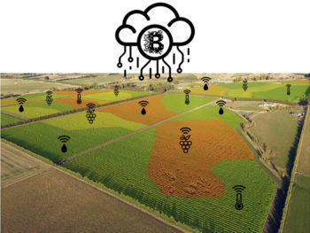 reti di sensori connessi in cloud