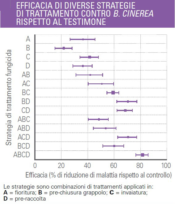 Efficacia di diverse strategie di trattamento contro Botrite