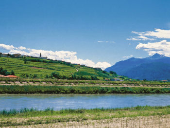 fiume Adige
