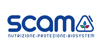 Scam logo 