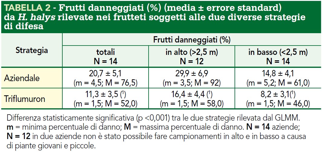 Frutti danneggiati da cimice asiatica con e senza triflumuron