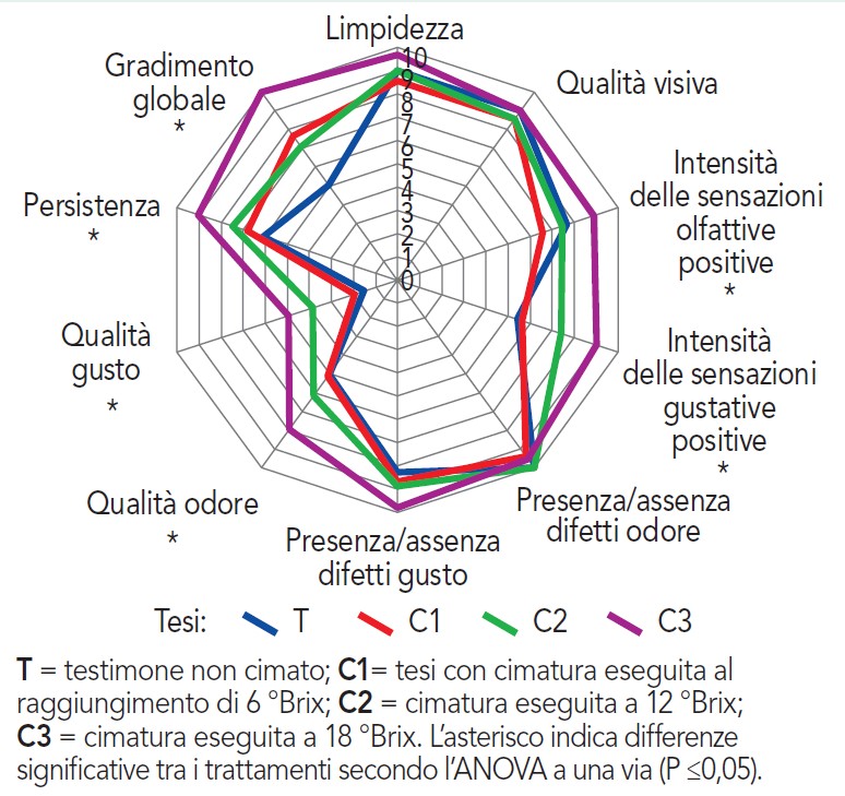 Caratteristiche vini valutati con analisi sensoriale