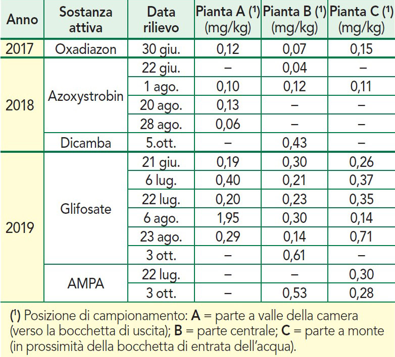 Residui agrofarmaci in piante riso bio azienda Centro ricerche Enr