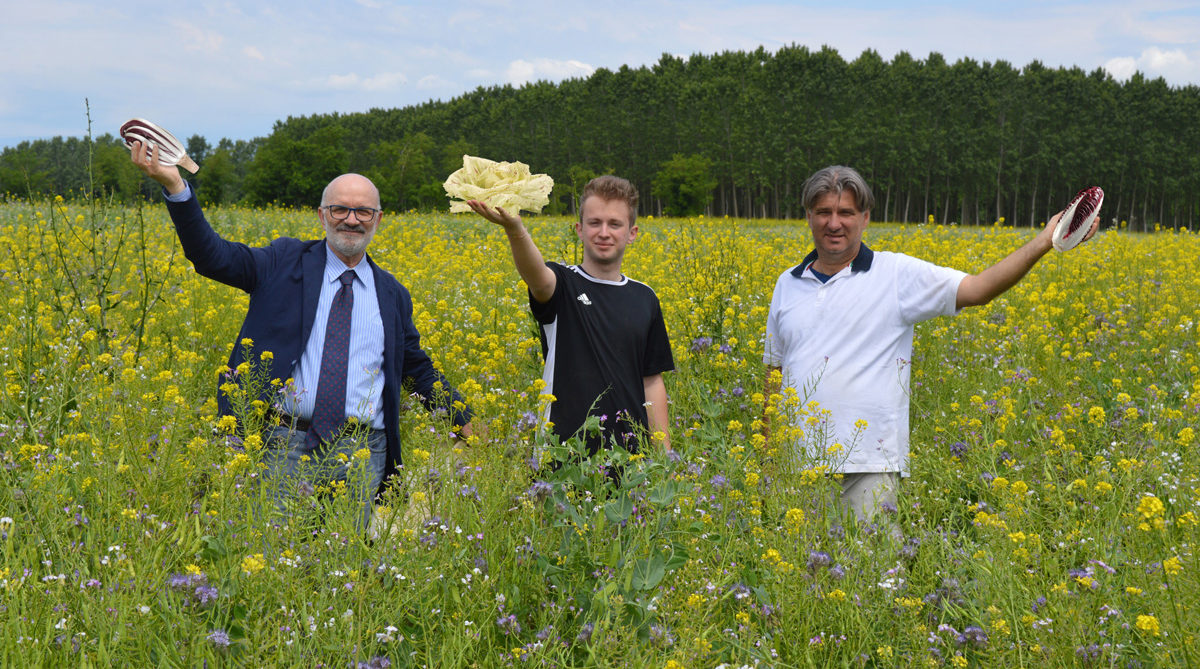 Cesare Bellò progetto biofuture