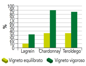 peronospora su foglia in funzione vigoria vigneto